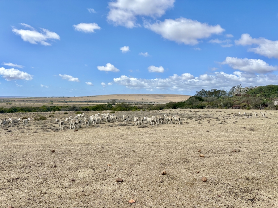 0 Bedroom Property for Sale in Mossel Bay Rural Western Cape